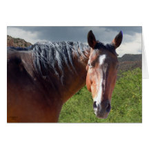 Große Bucht-amerikanischer Quarterhorse - löschen  Karten