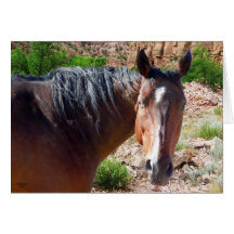 Große Bucht-amerikanischer Quarterhorse - löschen  Grußkarten