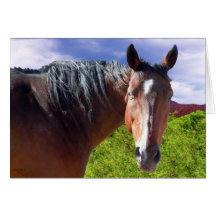 Große Bucht-amerikanischer Quarterhorse - löschen  Grußkarten