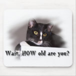 Große gelbe Augen der Schwarzweiss-Katze Mousepads