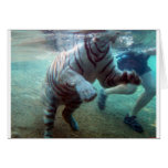 Großer Abenteuer-Tiger Karte