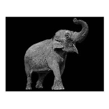 GROSSER ASIATISCHER ELEFANT - INDISCHER ELEFANT POSTKARTE