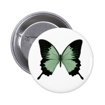 Großer grüner u. schwarzer Schmetterling Anstecknadelbuttons