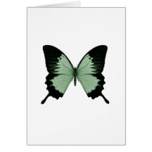Großer grüner u. schwarzer Schmetterling Grußkarten