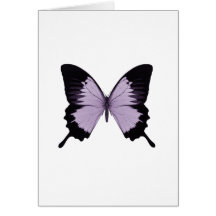 Großer lila u. schwarzer Schmetterling Grußkarte