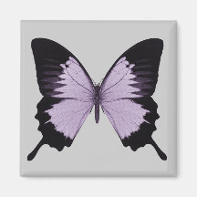 Großer lila u. schwarzer Schmetterling Magnete