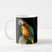 Großer orange und aquamariner Papagei auf einem St Teetasse