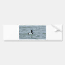 Größere Bergenten-Mann Autosticker