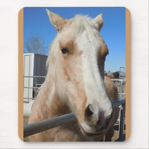 Großes dunkle Augengoldenes blondes Palomino-Pony Mousepads