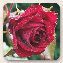 Großes nasses Rosen-Blumen-Untersetzer-Set (6)