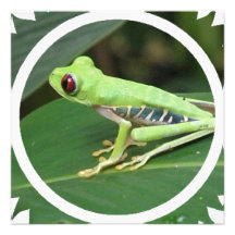Grüne Baum-Frosch-Einladung