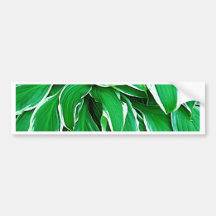 Grüne Blatt-Blumetress-Öko-Natur schönes Fashi Autosticker