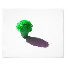 Grüne Blumen-weißer Eimer und Schatten Photo Druck