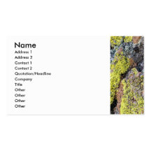 Grüne Felsen-Flechte Visitenkarte