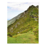 Grüne Klippen in Irland Postkarten