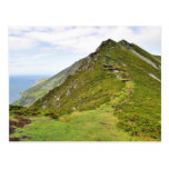 Grüne Klippen in Irland Postkarten