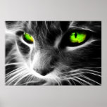 Grüne mit Augen Katze herauf nahen Druck Posterdruck
