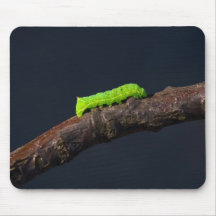 grüne Raupe Mousepad