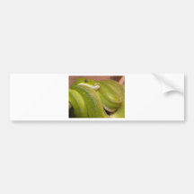 grüne Schlange Auto Sticker