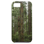 Grüne Totem-Baum-Waldnatur-Szene iPhone 5 Case