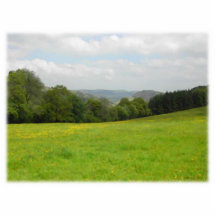 Grüne Wiese. Landschaftslandschaft. Gewohnheit Fotofiguren