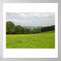 Grüne Wiese. Landschaftslandschaft. Gewohnheit Posterdruck