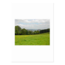 Grüne Wiese. Landschaftslandschaft. Gewohnheit Visitenkarten