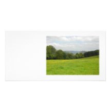 Grüne Wiese. Landschaftslandschaft Photokarten