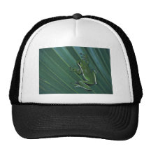 Grüner Baum-Frosch Caps