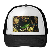 Grüner Baum-Frosch Retromützen