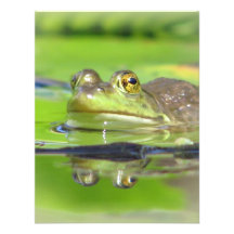Grüner Frosch-Einladung