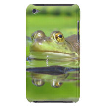 Grüner Frosch iTouch Fall iPod Case-Mate Case