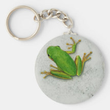 Grüner Frosch Keychain Schlüsselbänder
