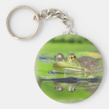 Grüner Frosch Keychain Schlüsselbänder