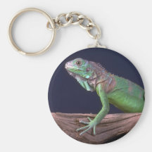 Grüner Leguan Schlüsselbänder