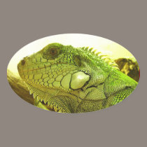 grüner Leguan Sticker aufkleber