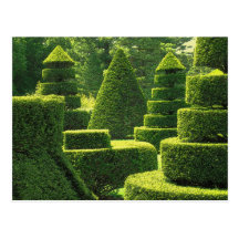 Grüner Topiary - Postkarte