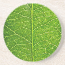 Grünes Blatt Bierdeckel