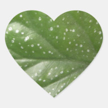 Grünes	Blatt Herzaufkleber