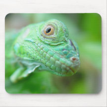 Grünes Leguan-Eidechsen-Reptil auf Blatt Mousepad