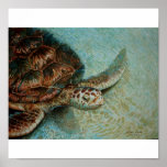 Grünes MeerTrutle Aquarell-Kunst-Plakat