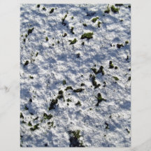Grünes Moos, das über Snowy-Oberfläche wächst Personalisierte Flyer