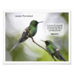 Grünes Thorntail Photo