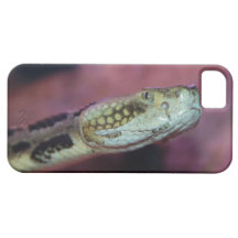 Gruselige Schlange iPhone 5 Hülle