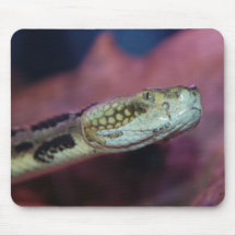 Gruselige Schlange Mousepad