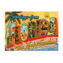 Grüße von Florida Postkarten