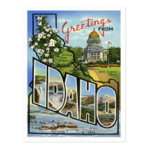 Grüße von Idaho Postkarte