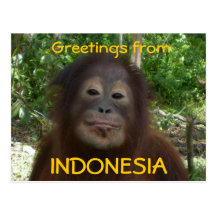 Grüße von INDONESIEN-Foto Postkarten