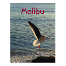 Grüße von Malibu! Postkarten