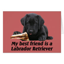 Grußkarte "Labrador retriever "